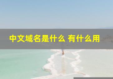 中文域名是什么 有什么用